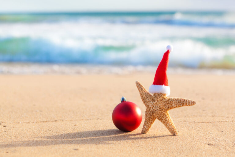 Holiday Starfish on Myrtle Beach in December