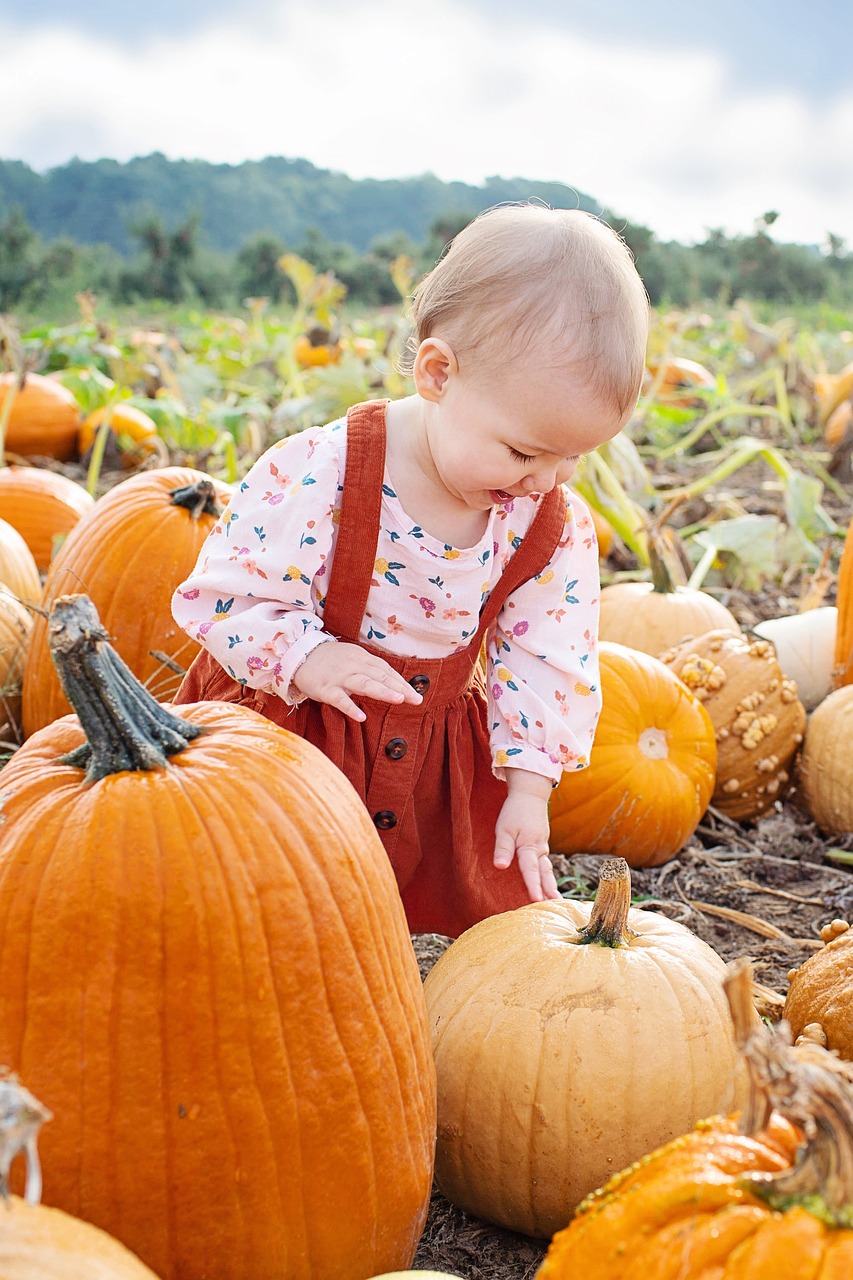 pumpkin patch