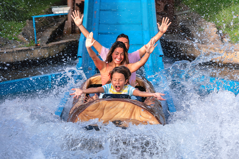 Cyber Super Sale - 40% OFF