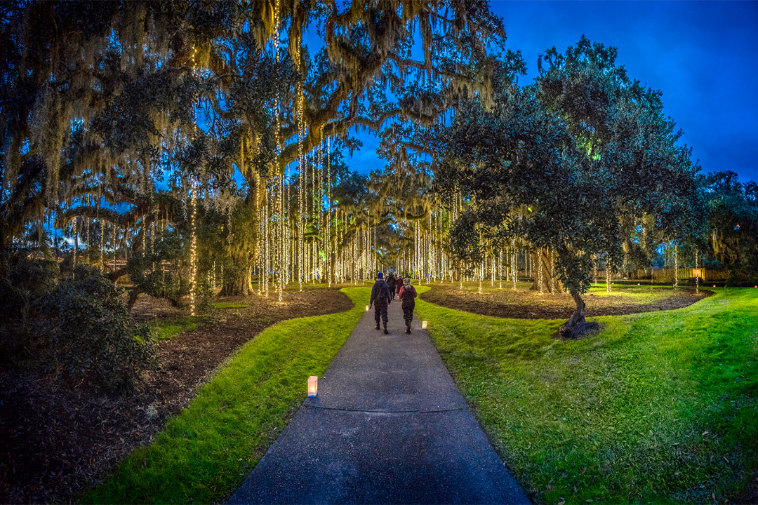 a pathway with people walking on it surrounded by trees and lights