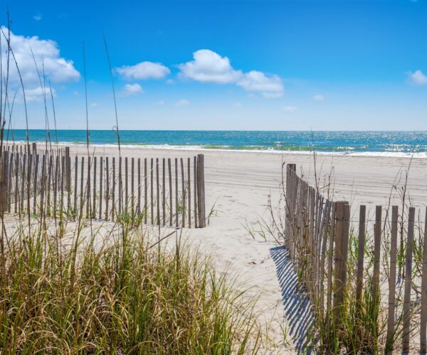 monterey-bay-beach-scene (1)