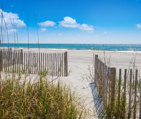 monterey-bay-beach-scene-email-bg